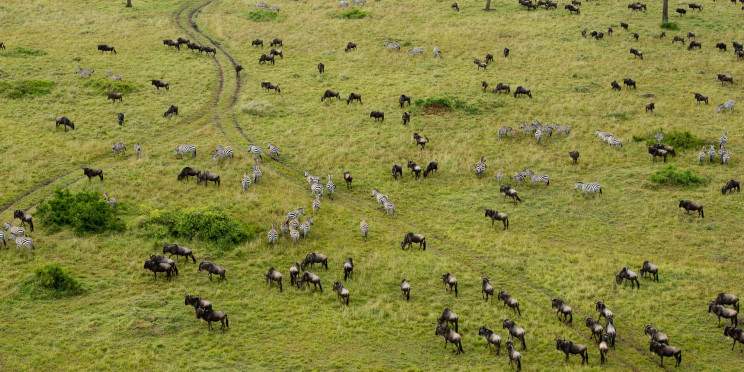 2-Day Into the Wild Masai Mara Safari Escape