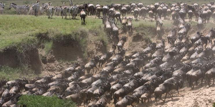 5-Day Wild Wonders of Kenya - Samburu to the Mara