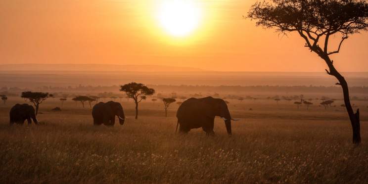 5-Day Masai Mara NR Luxury Tour