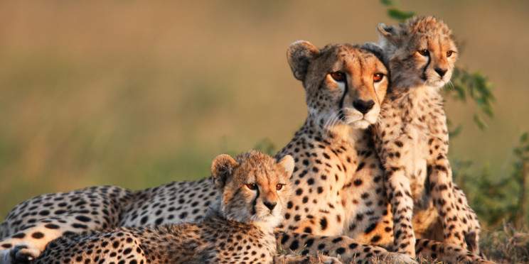 7-Day Wildlife Adventure & Outdoors Activities Mid-Range