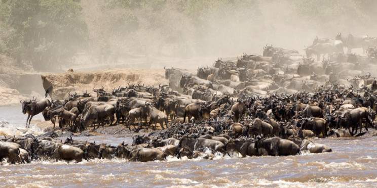3-Day Maasai Mara Great Migration Safari~Group Sharing