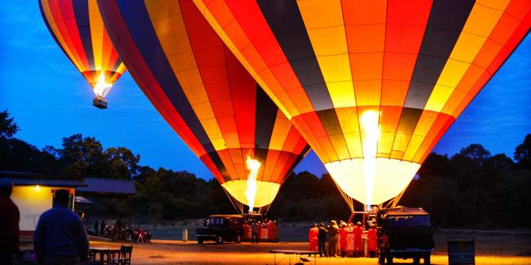 11-Day Safari Experience with a Beach Extension