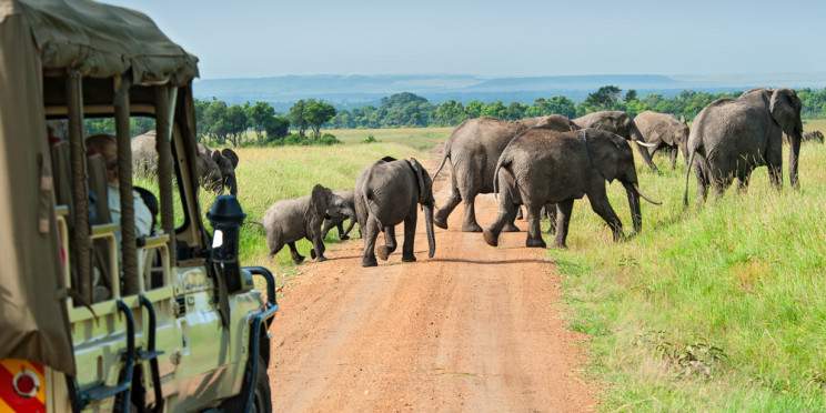1-Day Tsavo East from Diani