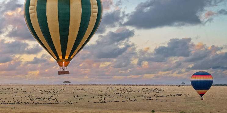 5-Day Masai Mara, Lake Nakuru & Amboseli Safari