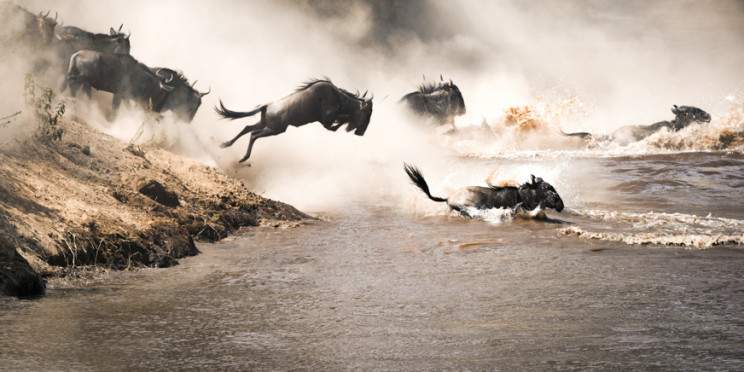 4-Day Kenya Luxe Safari - 4x4 Land Cruiser