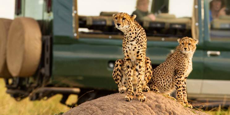 3-Day Tsavo East and Lumo/Taita Hills Safari with a Jeep