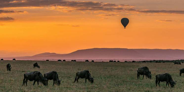3-Day Masai Mara Flying Safari to Basecamp Adventure