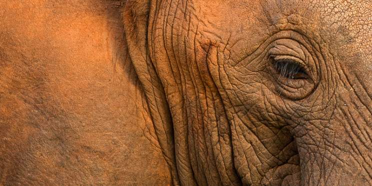 3-Day Into the Wilderness Meru National Park