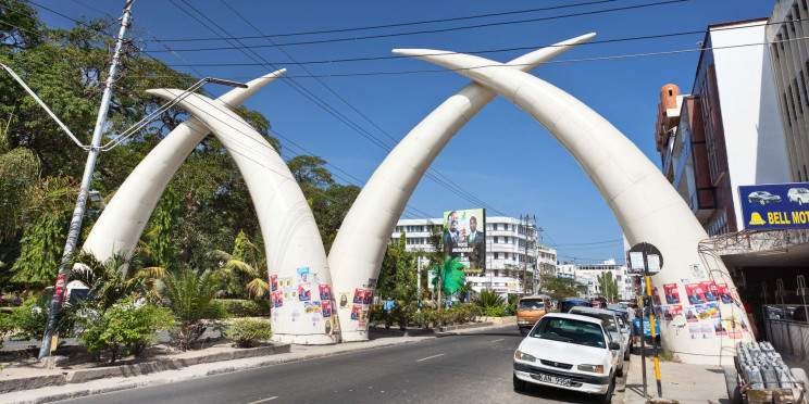 4-Day Coastal and Wilderness Wildlife Viewing Safari