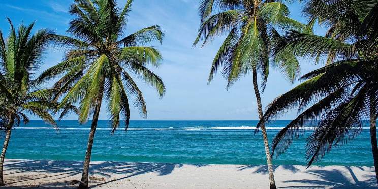 6-Day Mombasa Beach Bliss Experience