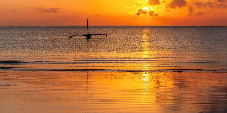 8-Day Mid-Range Bush and Beach Adventure