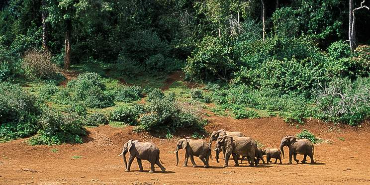 3-Day Maasai Mara Safari