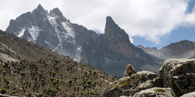 4-Day Mount Kenya Hiking via Sirimon - Chogoria Route