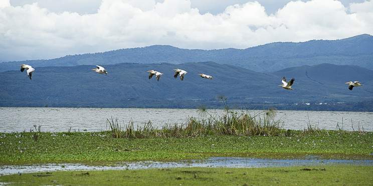 5-Day Fascinating Luxury Safari