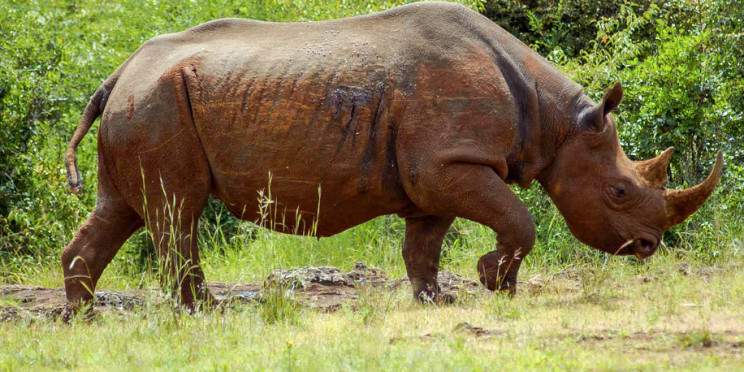 3-Day Epic Encounters Through Tsavo East & West