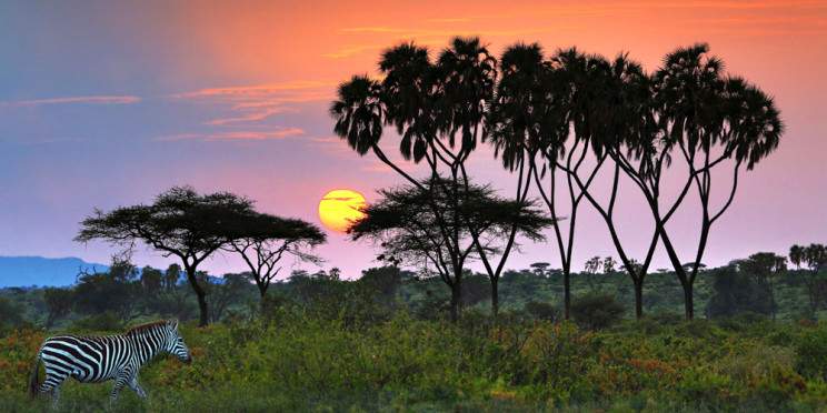 3-Day Samburu Wilderness Experience