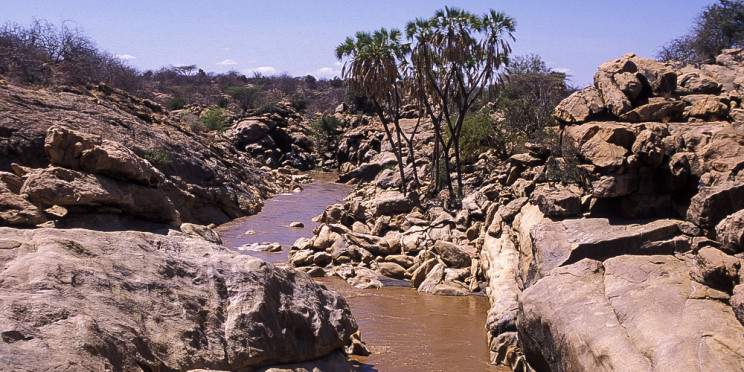 7-Day Kenyan Classic Safari- the Great Rift Valley Lakes