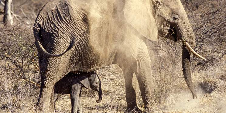 3-Day Segera Retreat in the Heart of Laikipia