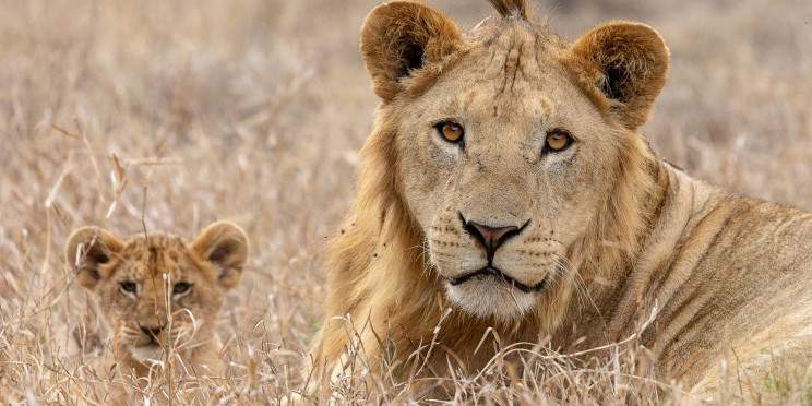 7-Day Wonders of Kenya