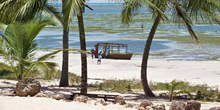 4-Day Trek in Watamu – Beach, Culture & Marine Wonders