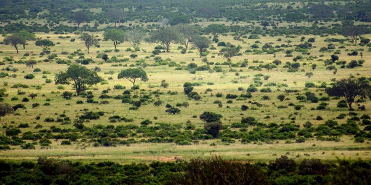 2-Day Ngutuni Wildlife Tsavo East & Cultural Safari