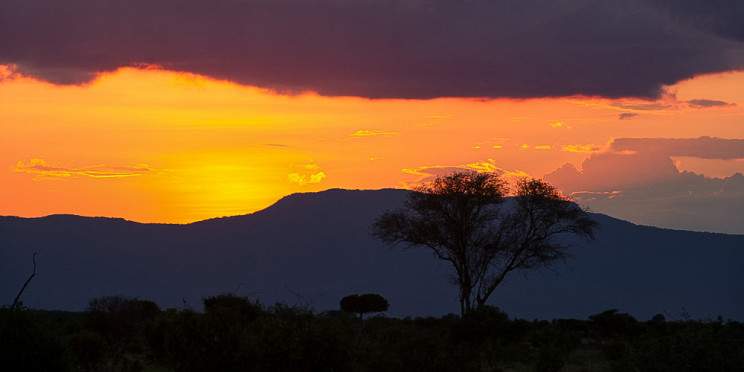 2-Day Masai Mara; Africa's Majestic Wildlife Paradise