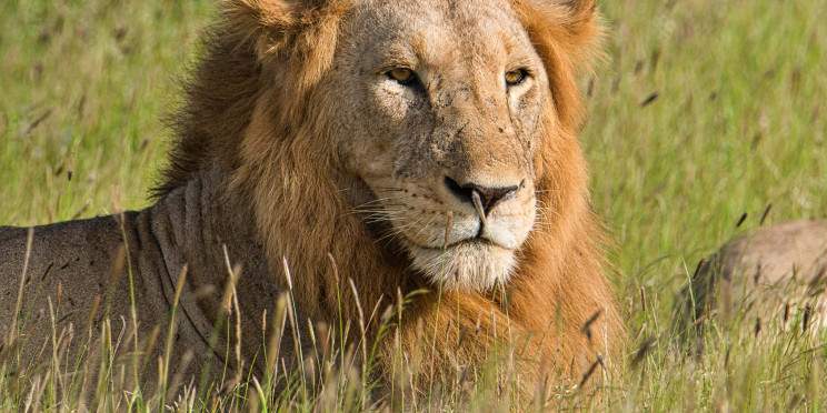 3-Day Tsavo East-Taita Hills Memorable Wildlife Safari
