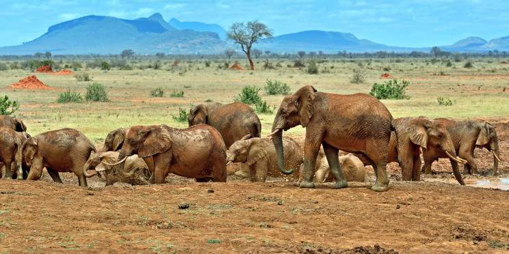 9-Day Safari Across Kenya's Scenic and Wildlife Treasure