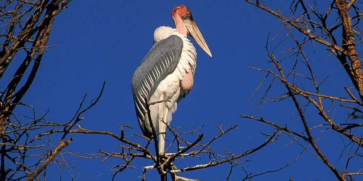 2-Day Taita Hills Wildlife Sanctuary