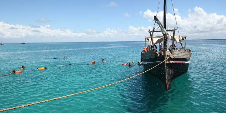 1-Day Wasini Island Dolphin & Snorkeling Tour
