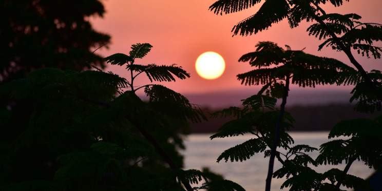 6-Day Mara and Zanzibar