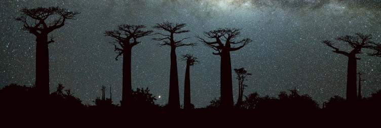 From limestone peaks to Baobab streets