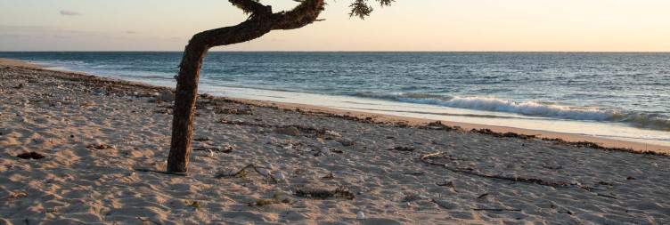 Anakao – Optional Sea Excursions