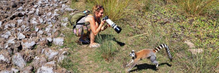 Isalo-Anaja Park-Ranomafana National Park