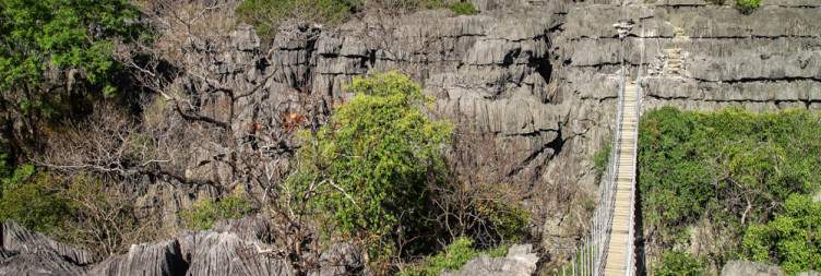 Ankarana national Park