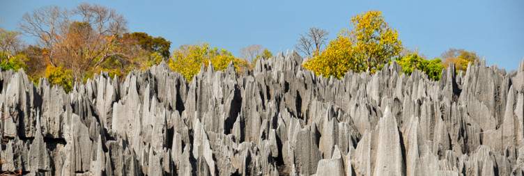 Bekopaka – Big Tsingy & Small Tsingy Visit