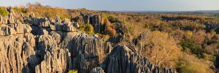 Antananarivo - Amborodia - Morondava