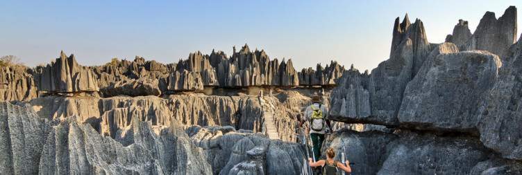 Explore the Tsingy de Bemaraha