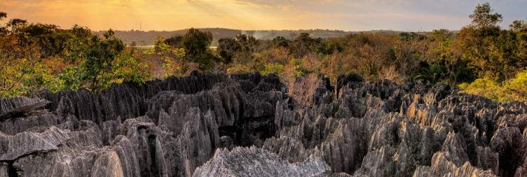 Tsingy (National Park of Bemaraha)