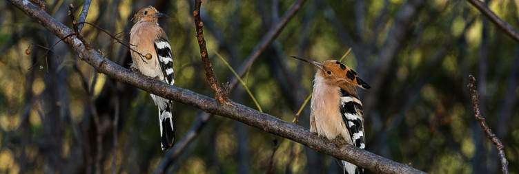 Isalo National Park