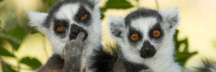 Isalo National Park