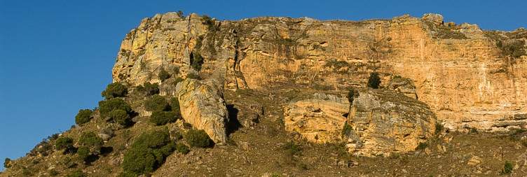 From Misty Rainforests to Golden Canyons