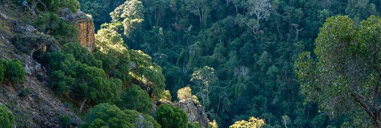 Isalo National Park