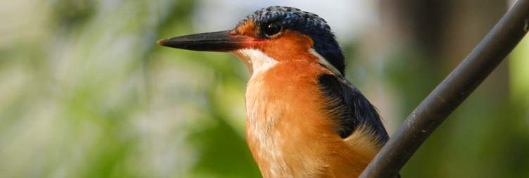 Morondava - Kirindy Forest