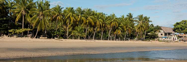 Island escapes and wildlife wonders in Nosy Be