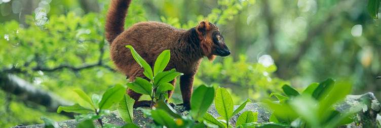 Discovering Palmarium Reserve