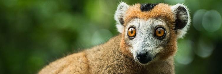 Visit of Palmarium Reserve