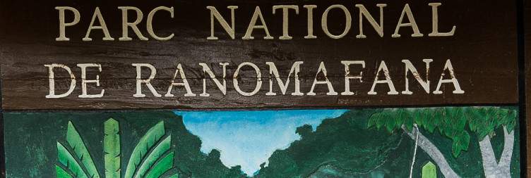 Explore Ranomafana National Park