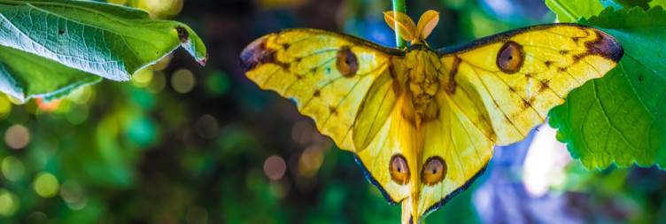 Explore Ranomafana National Park