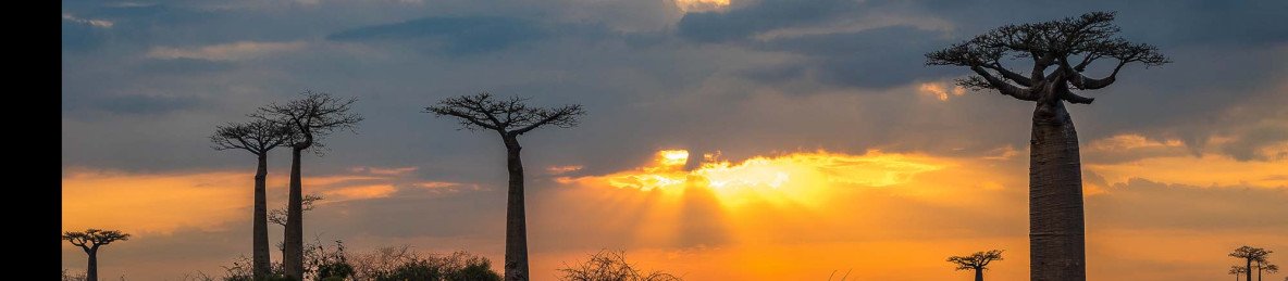 8-Day Highlands to Baobabs